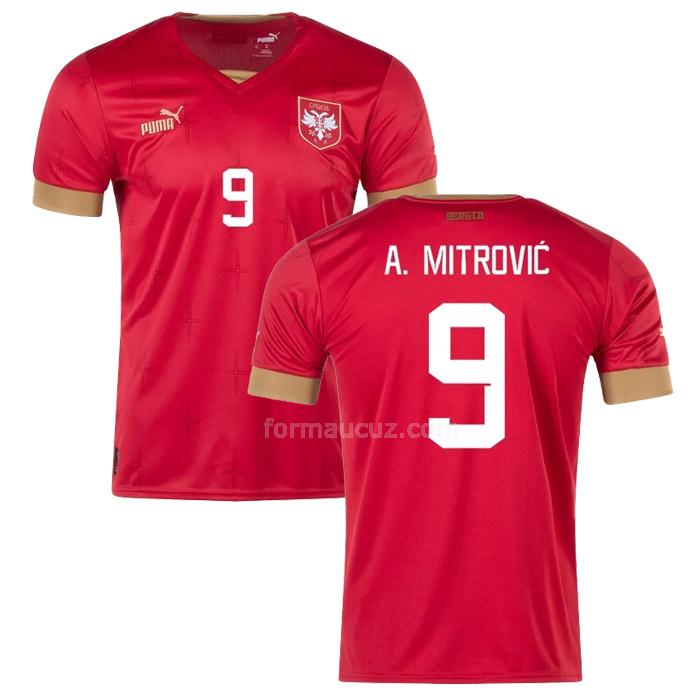 puma serbia 2022 aleksandar mitrovic dünya kupası İç saha forması